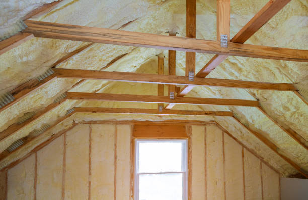 Best Insulation Inspection Services  in Plandome, NY