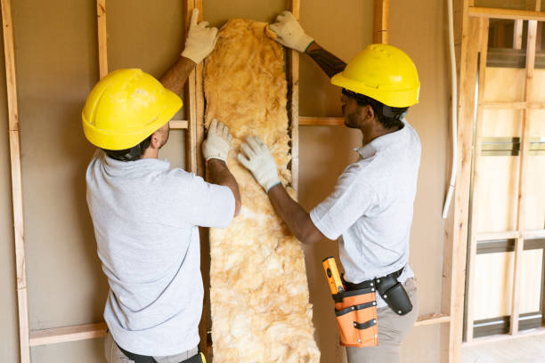 Best Home Insulation Services  in Plandome, NY