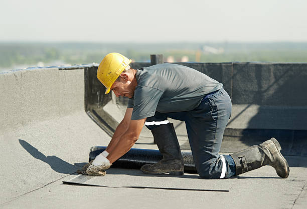 Best Insulation Repair Services  in Plandome, NY